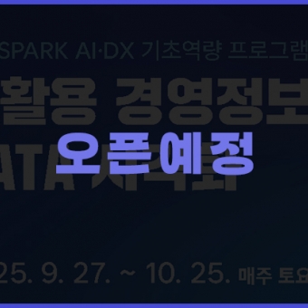 AI활용 경영정보 및 DATA 시각화